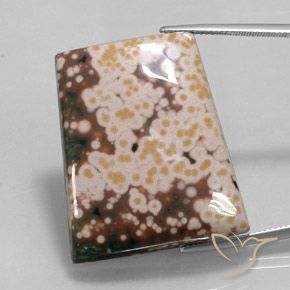 65.30ct Натуральный Многоцветный Яшма, причудливая, Непрозрачный