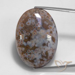 43.68ct Натуральный Многоцветный Яшма, Овал, Непрозрачный