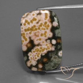 20.08ct Натуральный Многоцветный Яшма, Подушка, Непрозрачный
