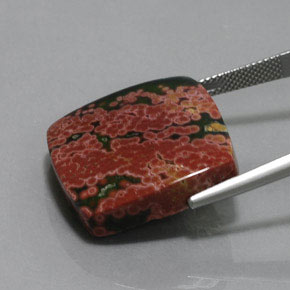 31.23 карата, натуральный Многоцветный Яшма, Подушка Крой, Непрозрачный