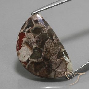 20.05ct Натуральный Многоцветный Яшма, причудливая, Непрозрачный
