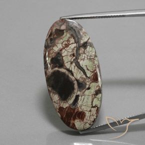 23.72ct Натуральный Многоцветный Яшма, Овал, Непрозрачный