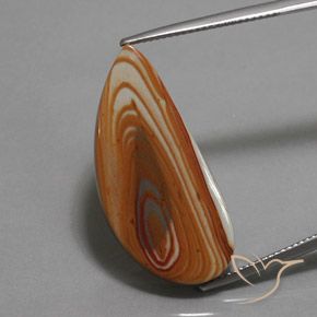 16.24ct Натуральный Многоцветный Яшма, причудливая, Непрозрачный
