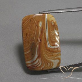 19.54ct Натуральный Многоцветный Яшма, Подушка, Непрозрачный