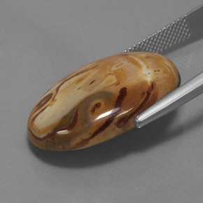 19.06 карата, натуральный Многоцветный Яшма, Огранка Овал, Непрозрачный