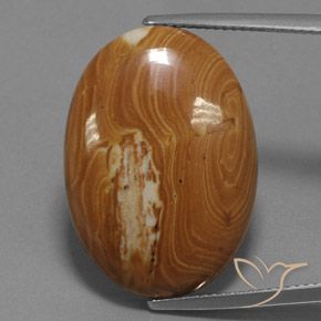 19.27ct Натуральный Многоцветный Яшма, Овал, Непрозрачный