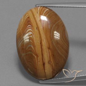 19.54ct Натуральный Многоцветный Яшма, Овал, Непрозрачный