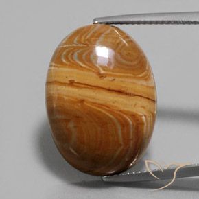 17.22ct Натуральный Многоцветный Яшма, Овал, Непрозрачный
