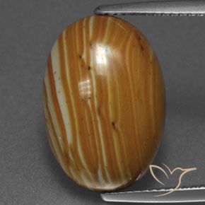 8.92ct Натуральный Многоцветный Яшма, Овал, Непрозрачный