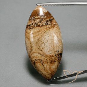 41.94ct Натуральный Многоцветный Яшма, Маркиза, Непрозрачный