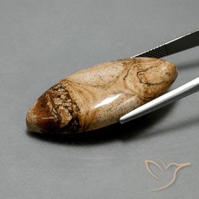 41.94 карата, натуральный Многоцветный Яшма, Маркиза, Непрозрачный