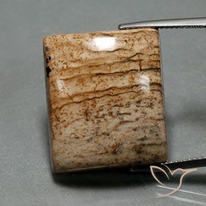 32.30ct Натуральный Многоцветный Яшма, Огранка Багет, Непрозрачный