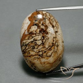 37.73ct Натуральный Многоцветный Яшма, Овал, Непрозрачный