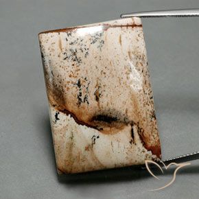 55.92ct Натуральный Многоцветный Яшма, Огранка Багет, Непрозрачный