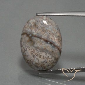 12.39ct Натуральный Многоцветный Яшма, Овал, Непрозрачный