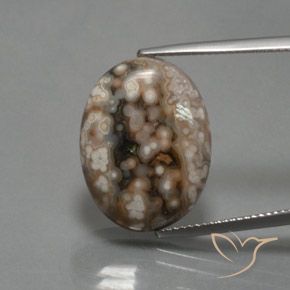 12.87ct Натуральный Многоцветный Яшма, Овал, Непрозрачный