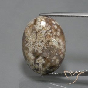 14.73ct Натуральный Многоцветный Яшма, Овал, Непрозрачный, Photo A
