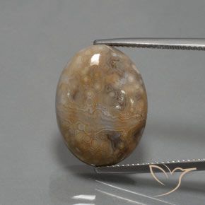 15.30ct Натуральный Многоцветный Яшма, Овал, Непрозрачный