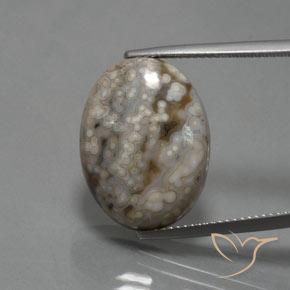 14.48ct Натуральный Многоцветный Яшма, Овал, Непрозрачный