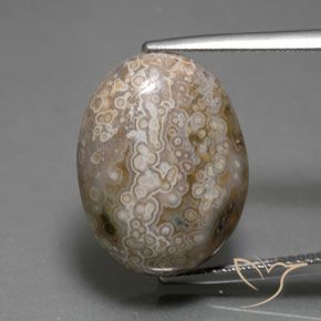 15.26ct Натуральный Многоцветный Яшма, Овал, Непрозрачный