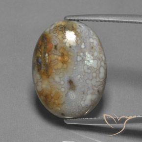 13.45ct Натуральный Многоцветный Яшма, Овал, Непрозрачный