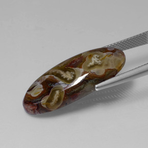 13.46 карата, натуральный Многоцветный Яшма, Огранка Овал, Непрозрачный