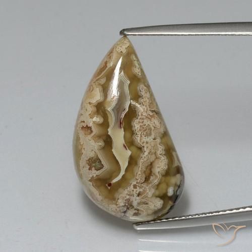 11.24ct Натуральный Многоцветный Яшма, причудливая, Непрозрачный