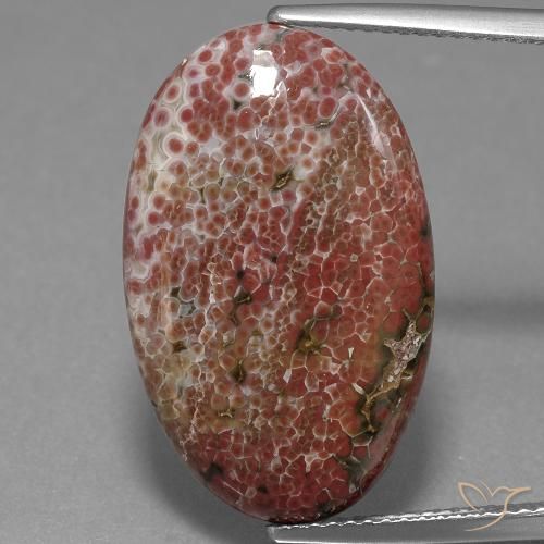 11.71ct Натуральный Многоцветный Яшма, Овал, Непрозрачный