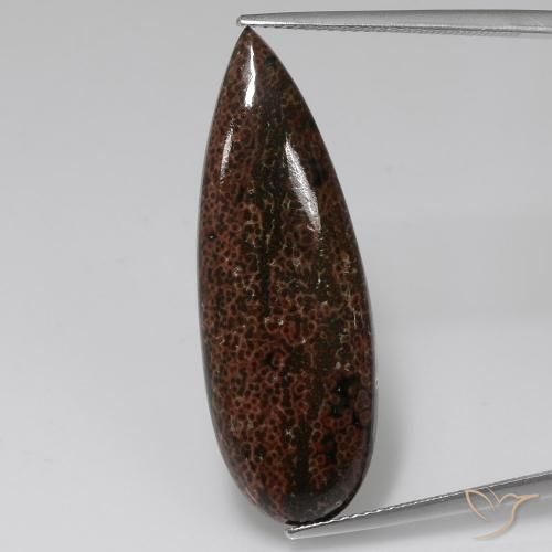 12.43ct Натуральный Многоцветный Яшма, Форма груши, Непрозрачный