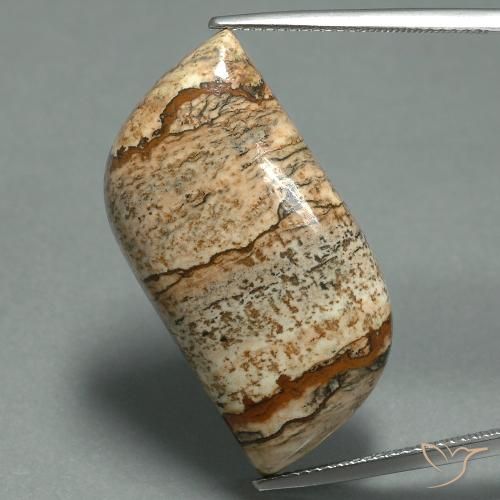 27.45ct Натуральный Многоцветный Яшма, причудливая, Непрозрачный