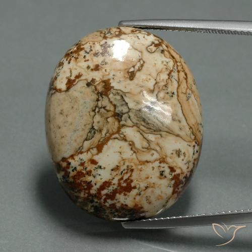 30.15ct Натуральный Многоцветный Яшма, Овал, Непрозрачный