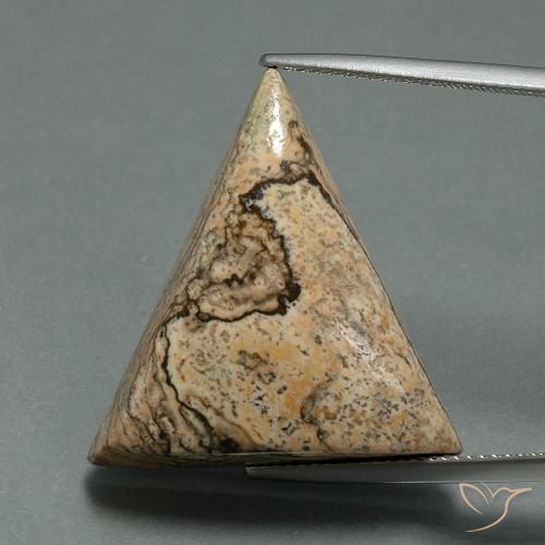 24.08ct Натуральный Многоцветный Яшма, Триллион, Непрозрачный