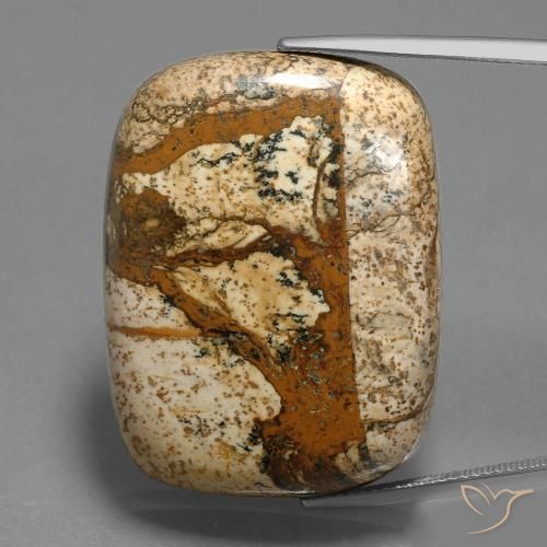 58.74ct Натуральный Многоцветный Яшма, Подушка, Непрозрачный