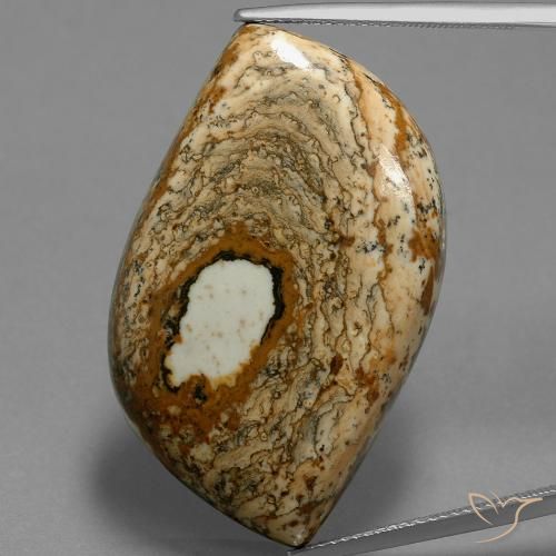 47.70ct Натуральный Многоцветный Яшма, причудливая, Непрозрачный