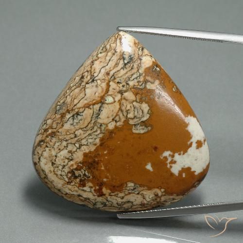 50.96ct Натуральный Многоцветный Яшма, Форма груши, Непрозрачный