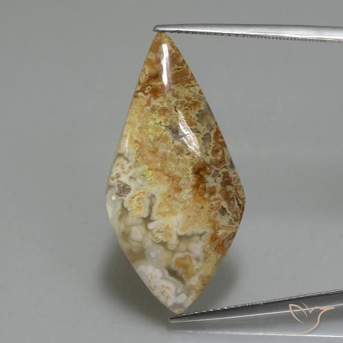 14.89ct Натуральный Многоцветный Яшма, причудливая, Непрозрачный