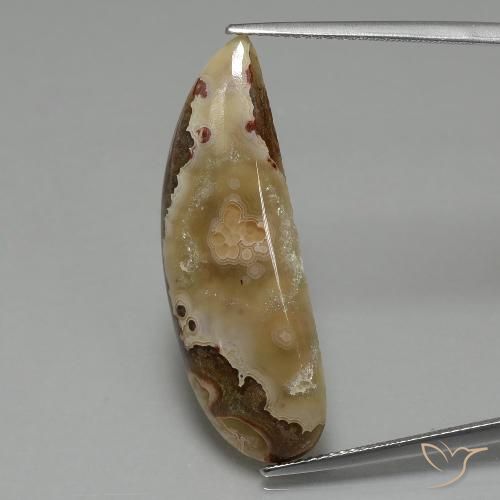 14.43ct Натуральный Многоцветный Яшма, причудливая, Непрозрачный