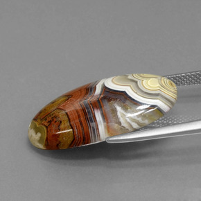 13.94 карата, натуральный Многоцветный Яшма, Огранка Овал, Непрозрачный