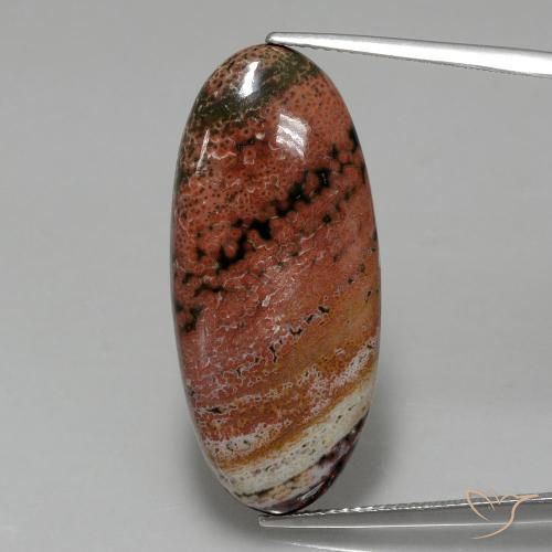 15.75ct Натуральный Многоцветный Яшма, Овал, Непрозрачный