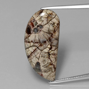 8.64 карата, натуральный Многоцветный Яшма, Необычная форма, Непрозрачный