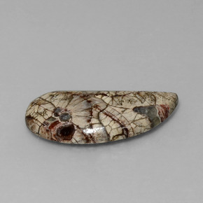 8.64 карата, натуральный Многоцветный Яшма, Необычная форма, Непрозрачный