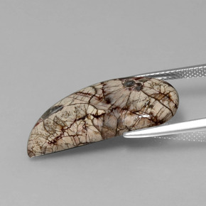 8.64 карата, натуральный Многоцветный Яшма, Необычная форма, Непрозрачный