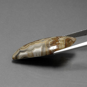 15.18 карата, натуральный Многоцветный Яшма, Необычная форма, Непрозрачный