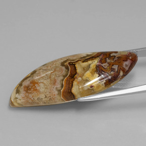 24.71 карата, натуральный Многоцветный Яшма, Необычная форма, Непрозрачный