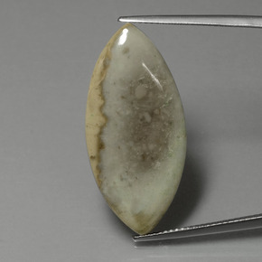 15.89 карата, натуральный Многоцветный Яшма, Маркиза, Непрозрачный