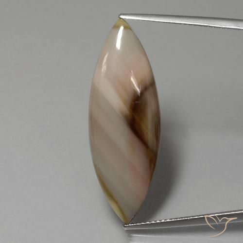 13.74ct Натуральный Многоцветный Яшма, Маркиза, Непрозрачный