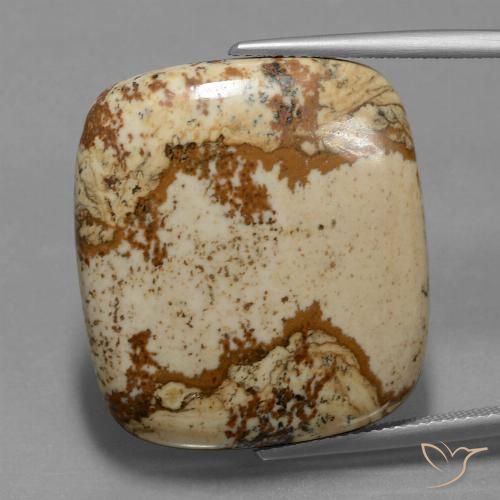 37.15ct Натуральный Многоцветный Яшма, Подушка, Непрозрачный