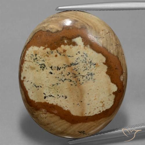 44.93ct Натуральный Многоцветный Яшма, Овал, Непрозрачный