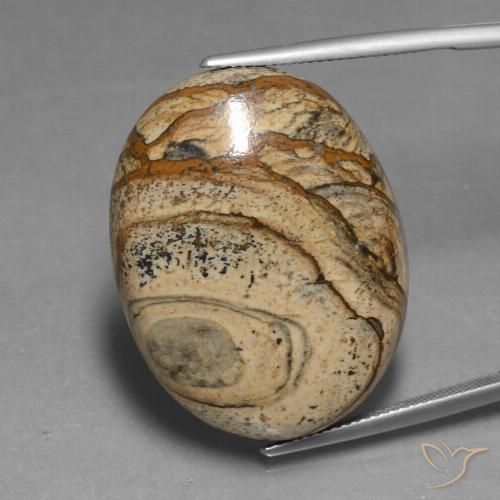 48.37ct Натуральный Многоцветный Яшма, Овал, Непрозрачный