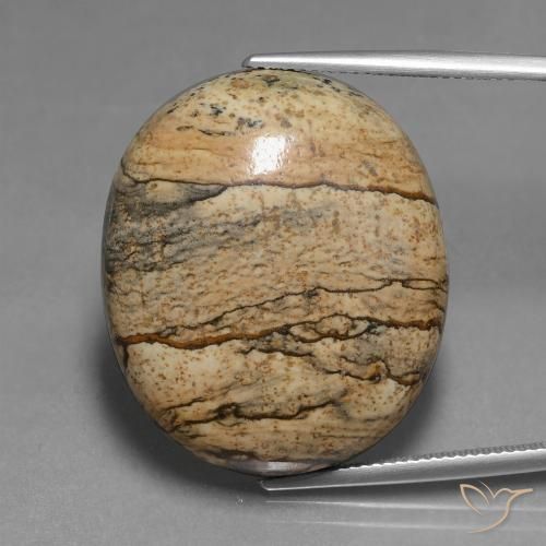 46.30ct Натуральный Многоцветный Яшма, Овал, Непрозрачный